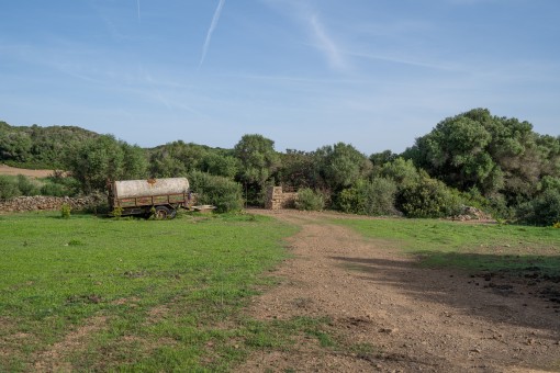 View over the plot