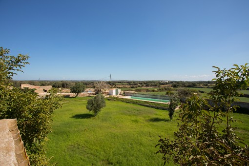 Green garden with pool