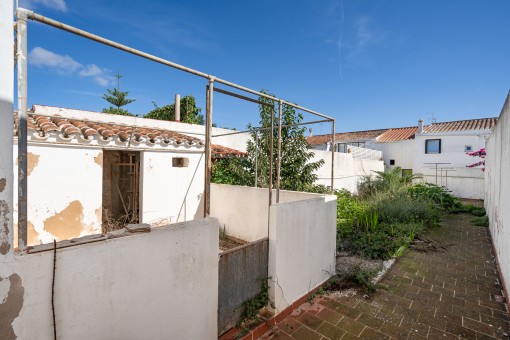 Terrace and garden