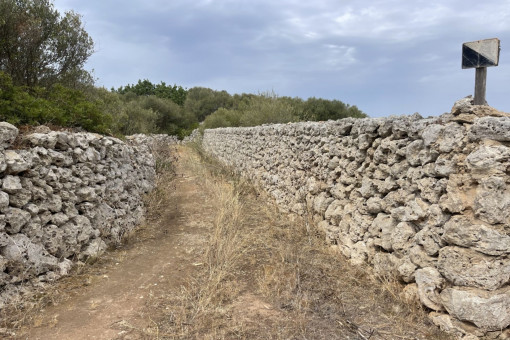 Way to the finca