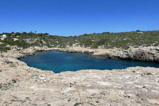 Prés de la plage