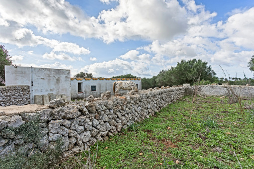 View of the plot